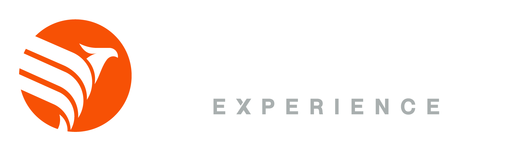 Global LED Experience